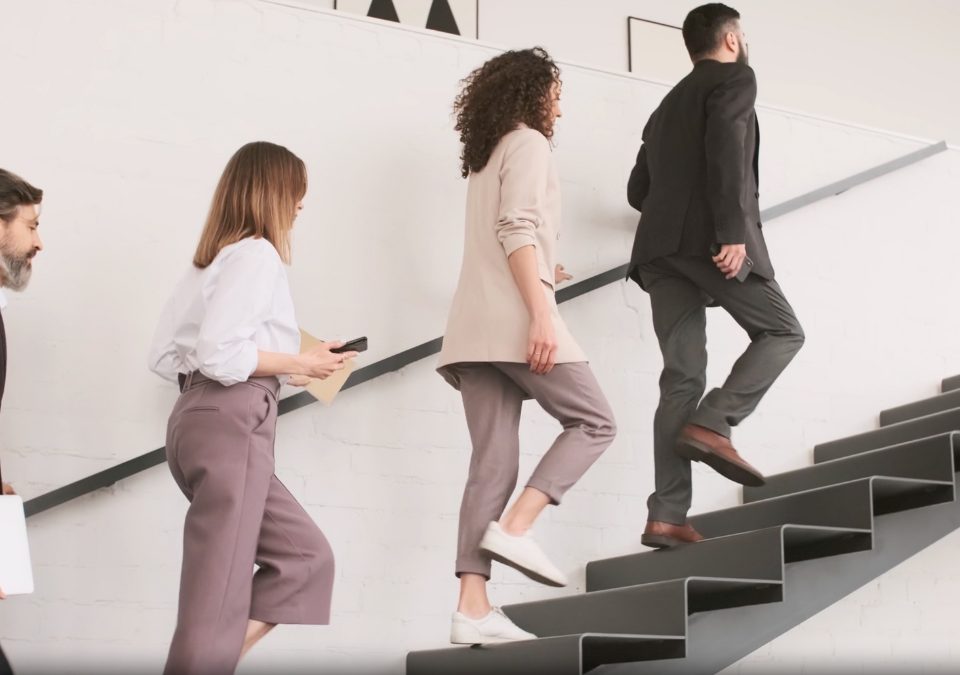 levelling down careers