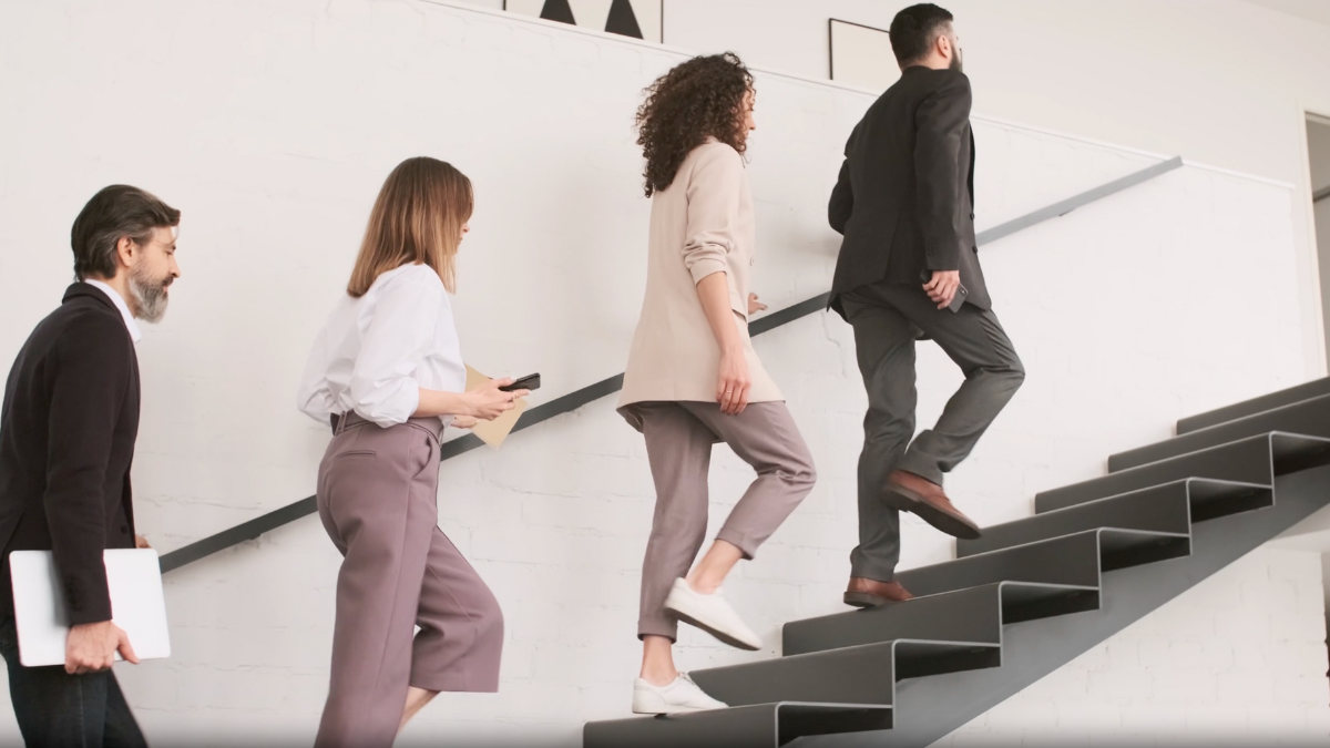 levelling down careers